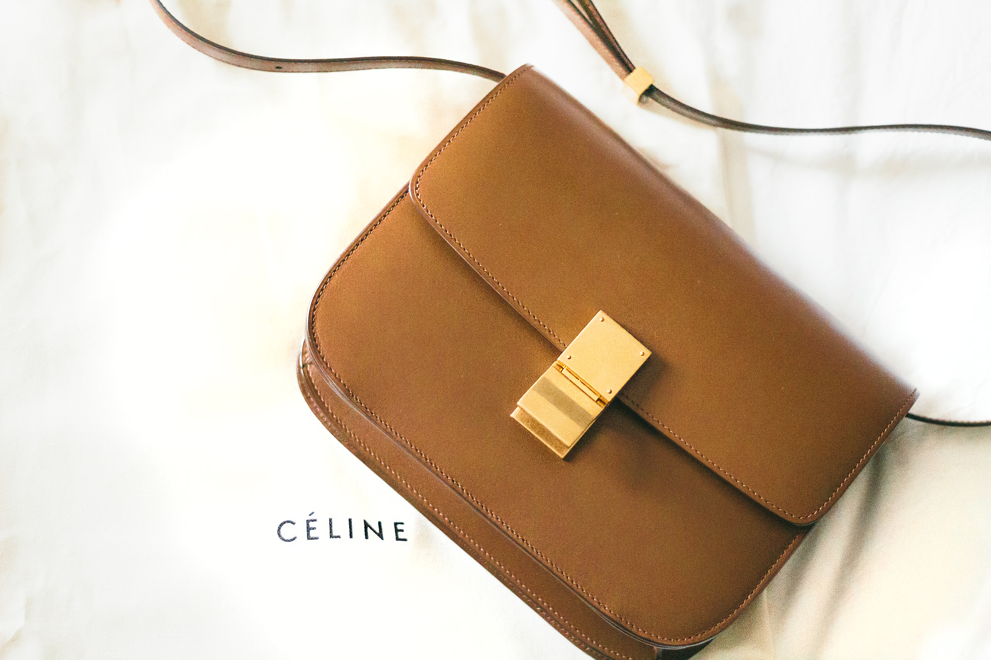 camel-celine-bag-with-the-accent